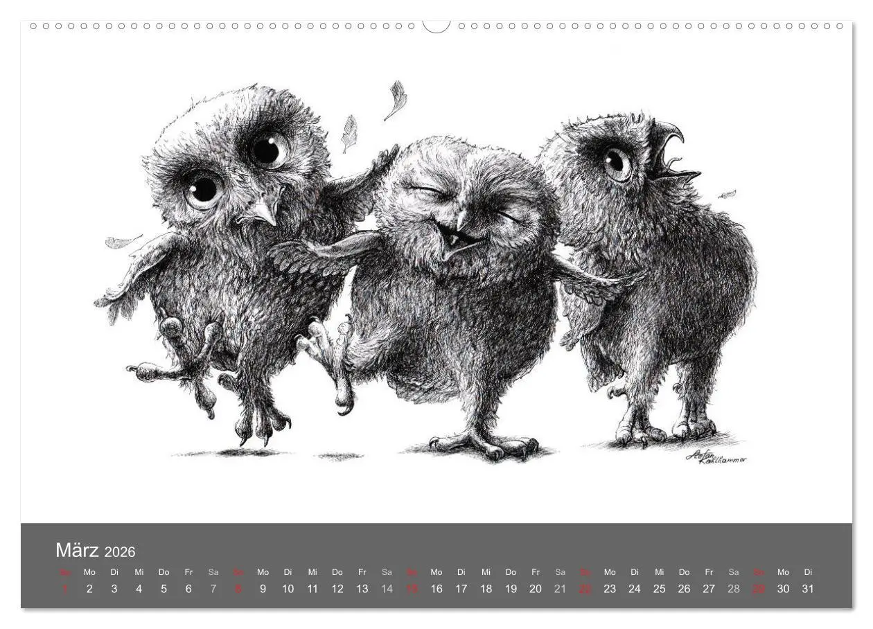 Bild: 9783516205206 | owls &amp; friends 2026 (Wandkalender 2026 DIN A2 quer), CALVENDO...