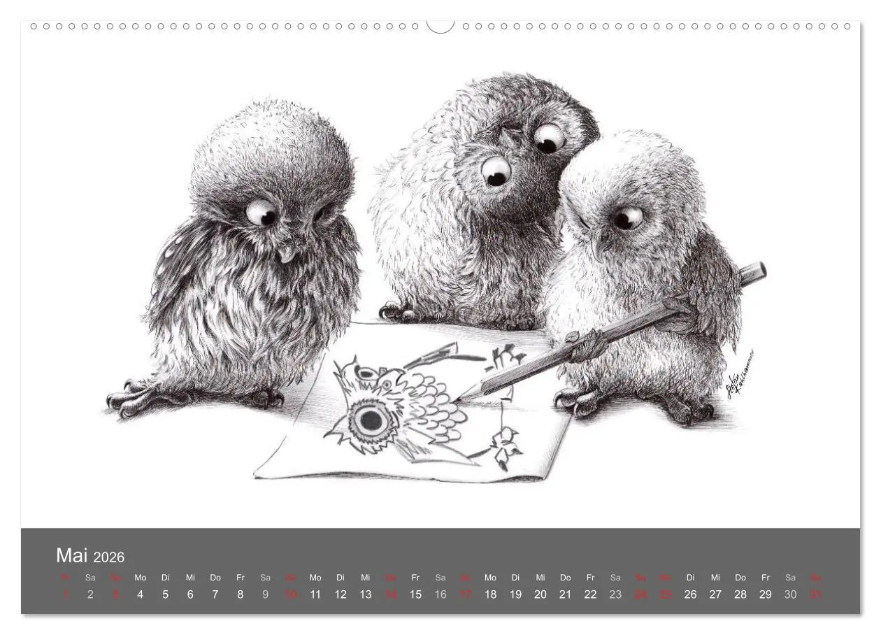 Bild: 9783516205206 | owls &amp; friends 2026 (Wandkalender 2026 DIN A2 quer), CALVENDO...