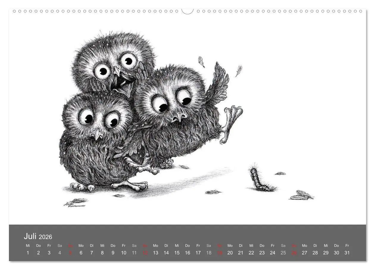 Bild: 9783516205206 | owls &amp; friends 2026 (Wandkalender 2026 DIN A2 quer), CALVENDO...