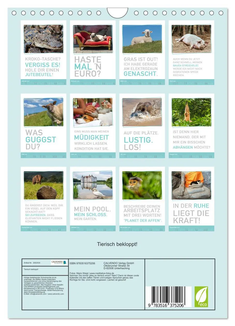 Bild: 9783516375206 | Tierisch bekloppt! (Wandkalender 2026 DIN A4 hoch), CALVENDO...