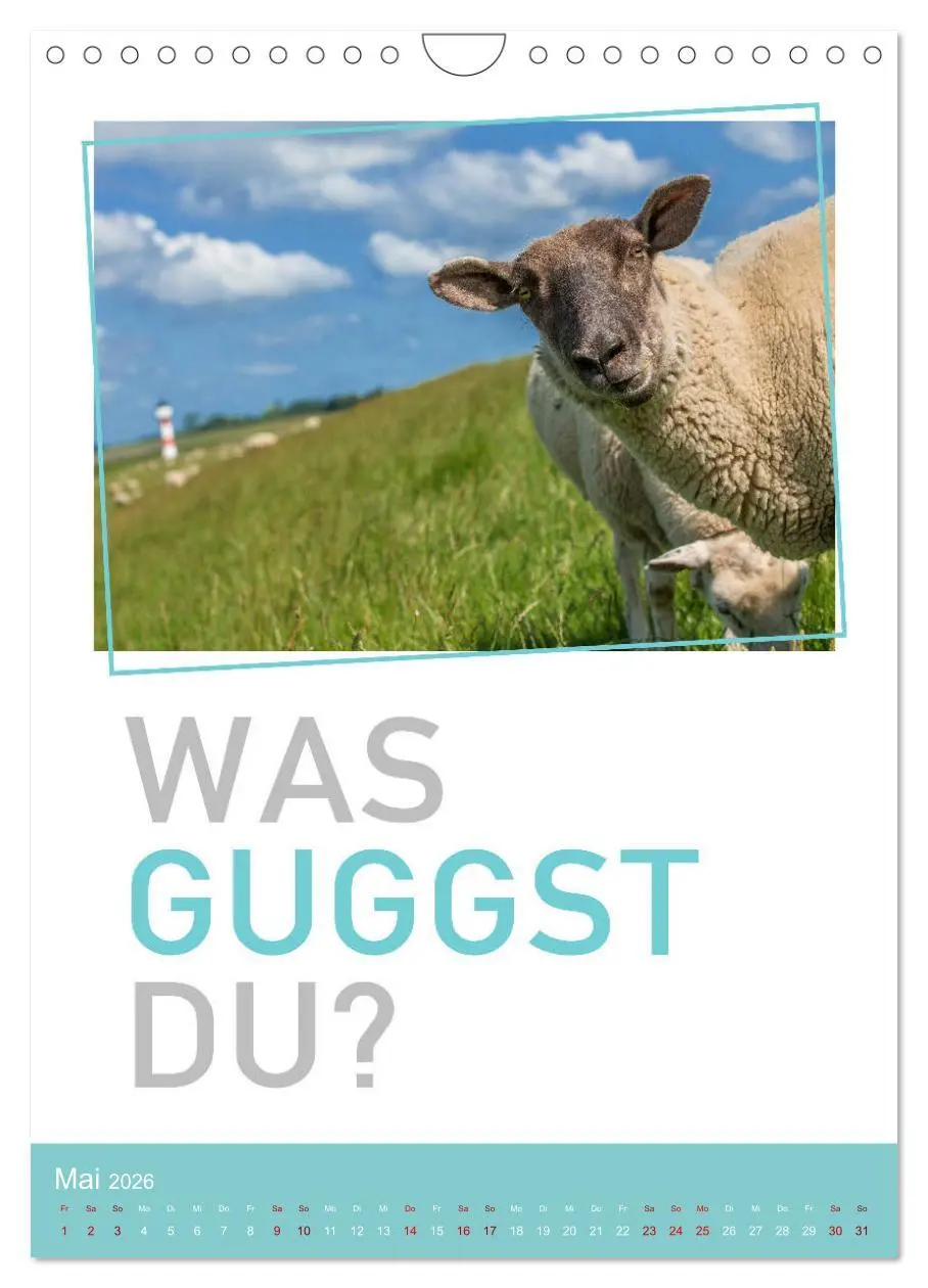 Bild: 9783516375206 | Tierisch bekloppt! (Wandkalender 2026 DIN A4 hoch), CALVENDO...
