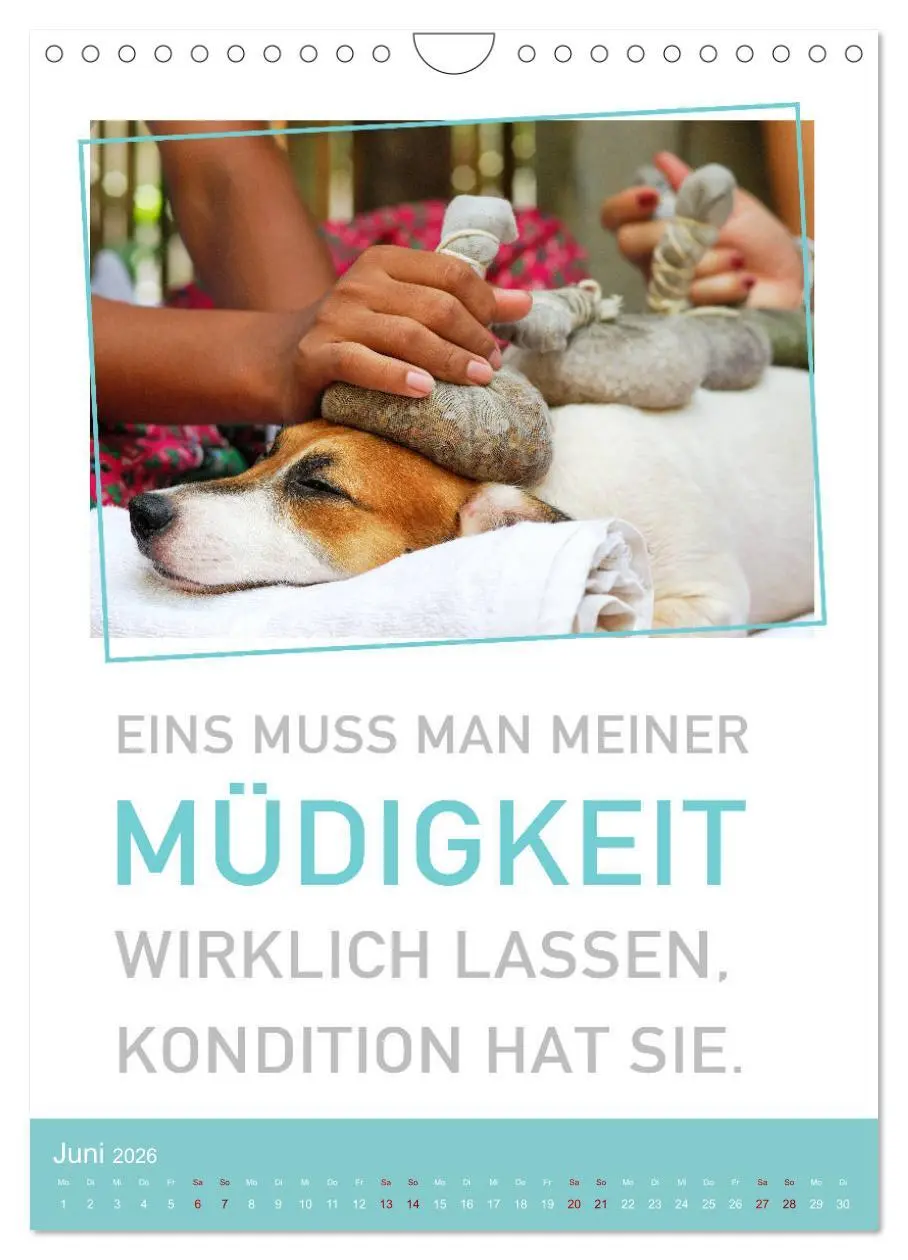 Bild: 9783516375206 | Tierisch bekloppt! (Wandkalender 2026 DIN A4 hoch), CALVENDO...