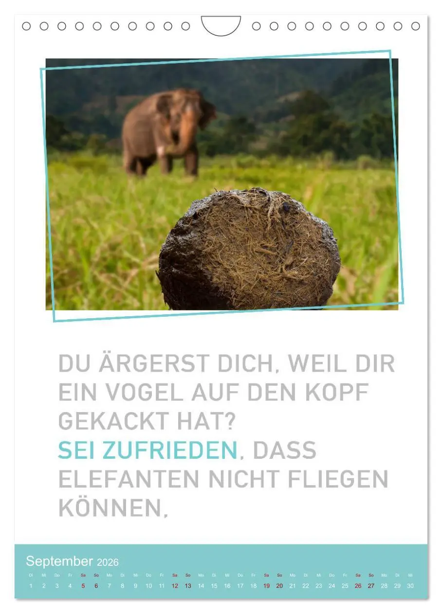 Bild: 9783516375206 | Tierisch bekloppt! (Wandkalender 2026 DIN A4 hoch), CALVENDO...