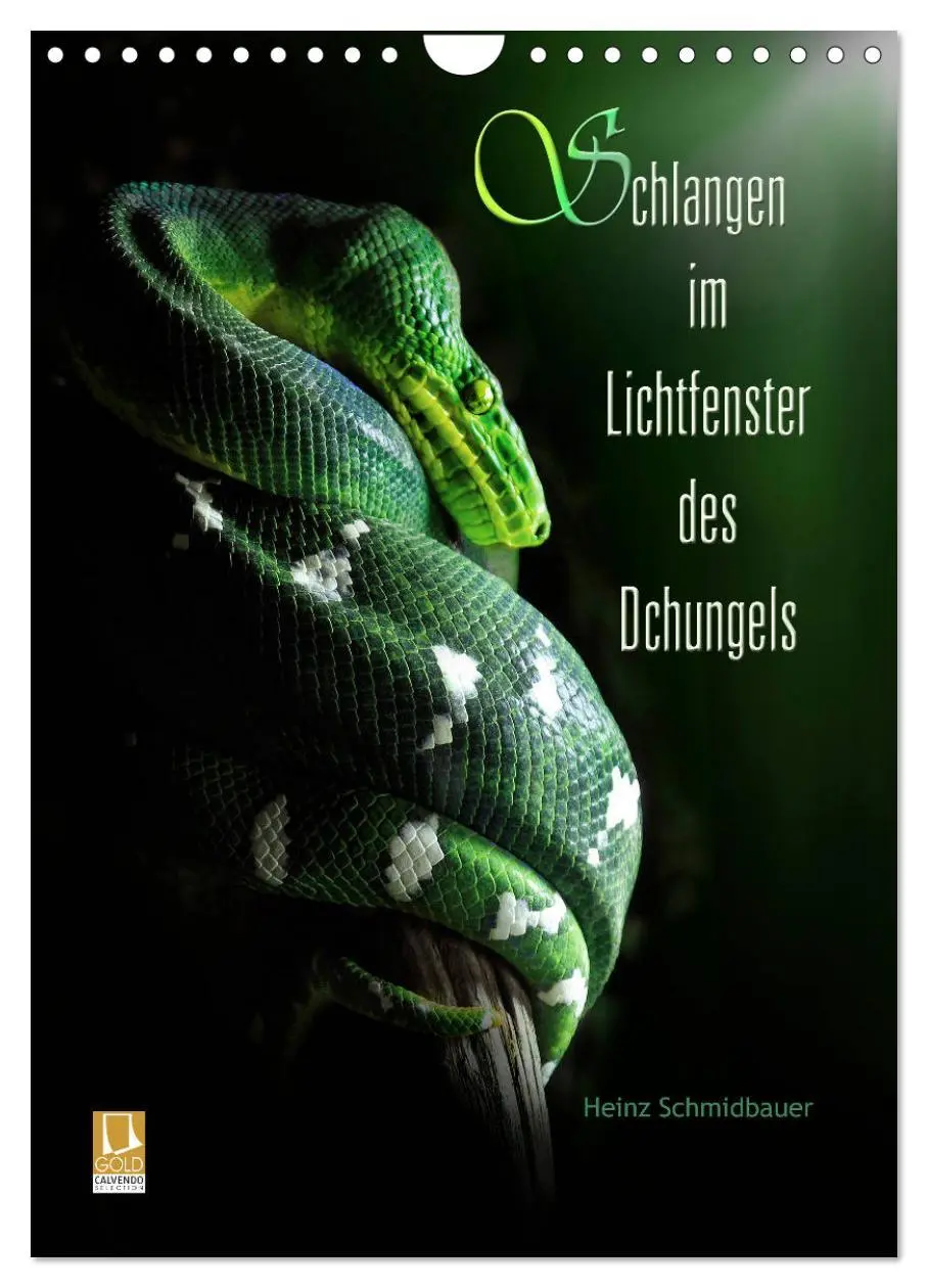 Cover: 9783516445206 | Schlangen im Lichtfenster des Dschungels (Wandkalender 2026 DIN A4...