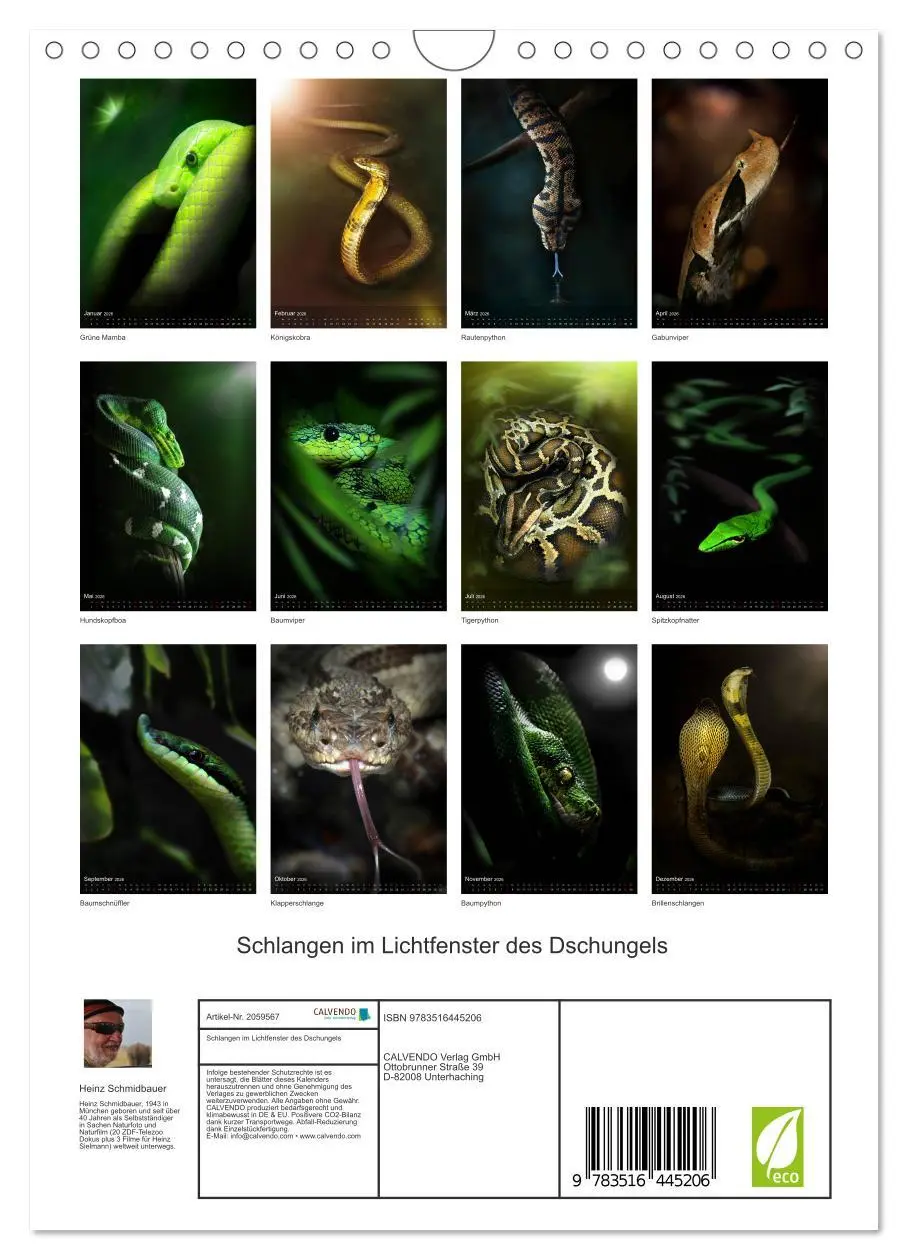 Bild: 9783516445206 | Schlangen im Lichtfenster des Dschungels (Wandkalender 2026 DIN A4...