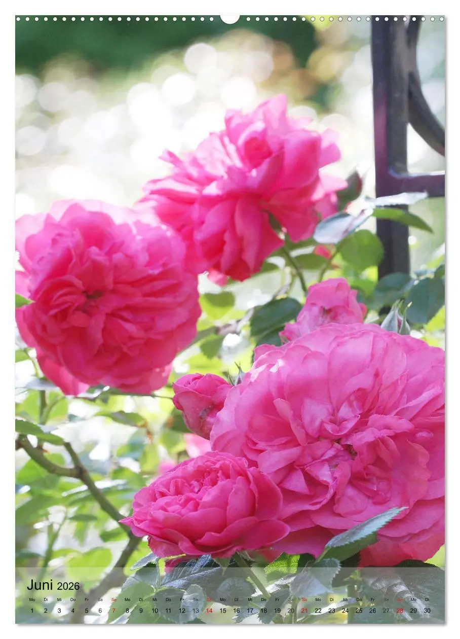 Bild: 9783516365306 | Ferien im Garten (Wandkalender 2026 DIN A2 hoch), CALVENDO...