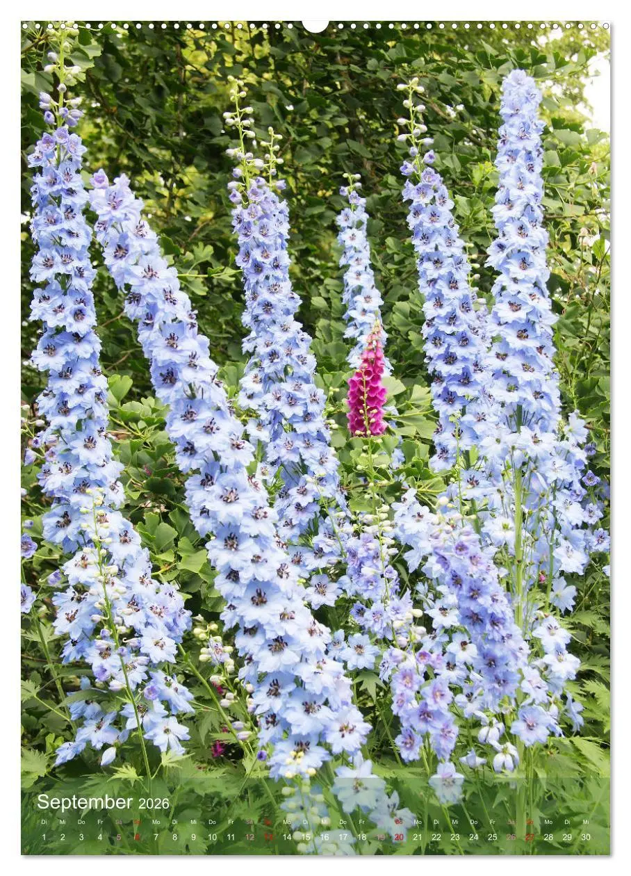 Bild: 9783516365306 | Ferien im Garten (Wandkalender 2026 DIN A2 hoch), CALVENDO...