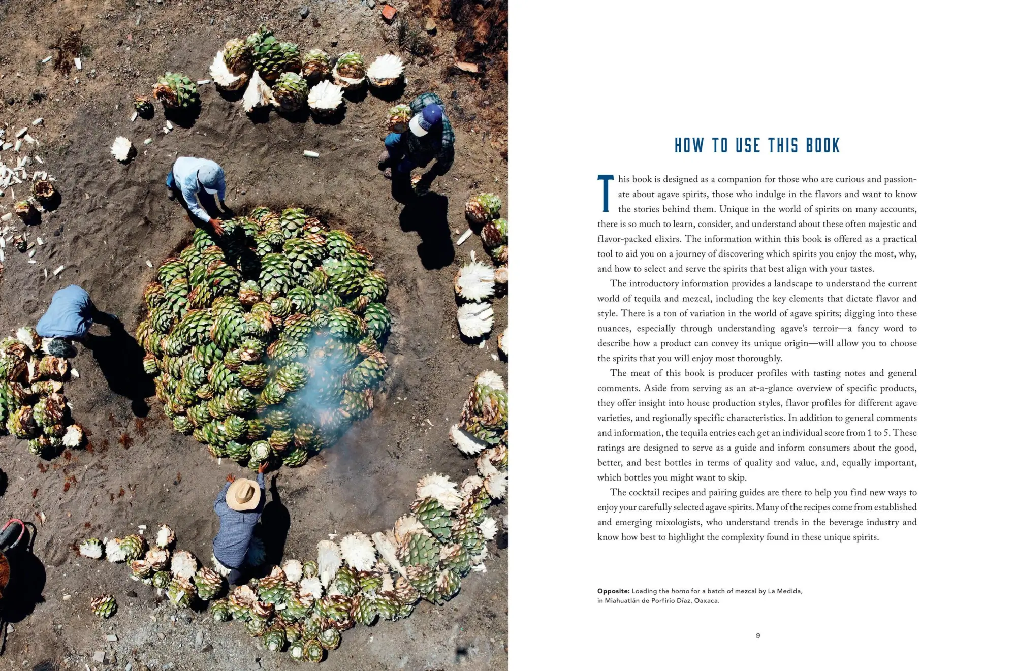 Bild: 9781454945406 | The Essential Tequila &amp; Mezcal Companion | Tess Rose Lampert | Buch