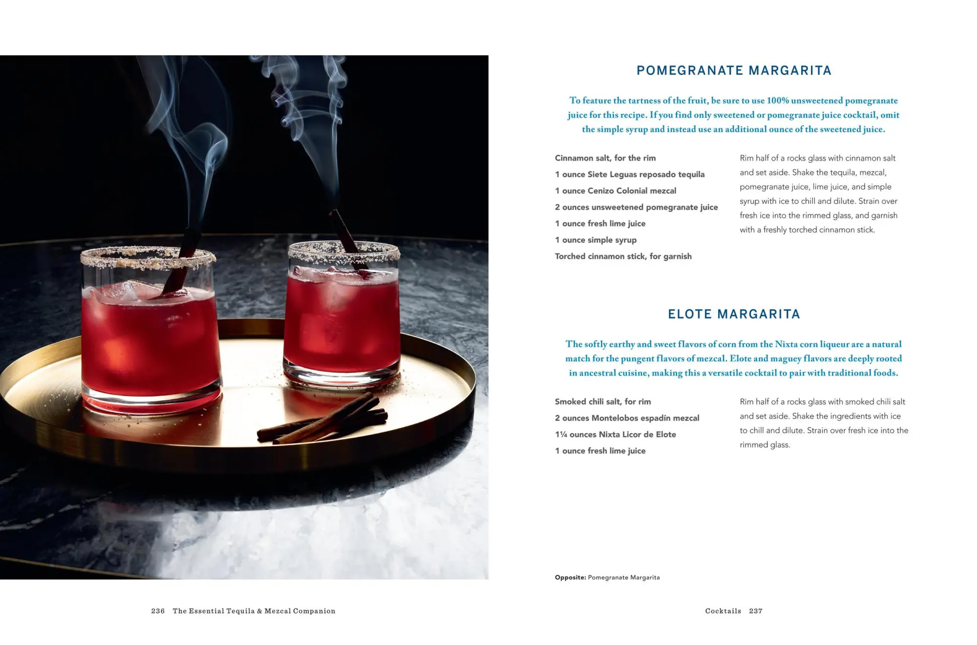 Bild: 9781454945406 | The Essential Tequila &amp; Mezcal Companion | Tess Rose Lampert | Buch