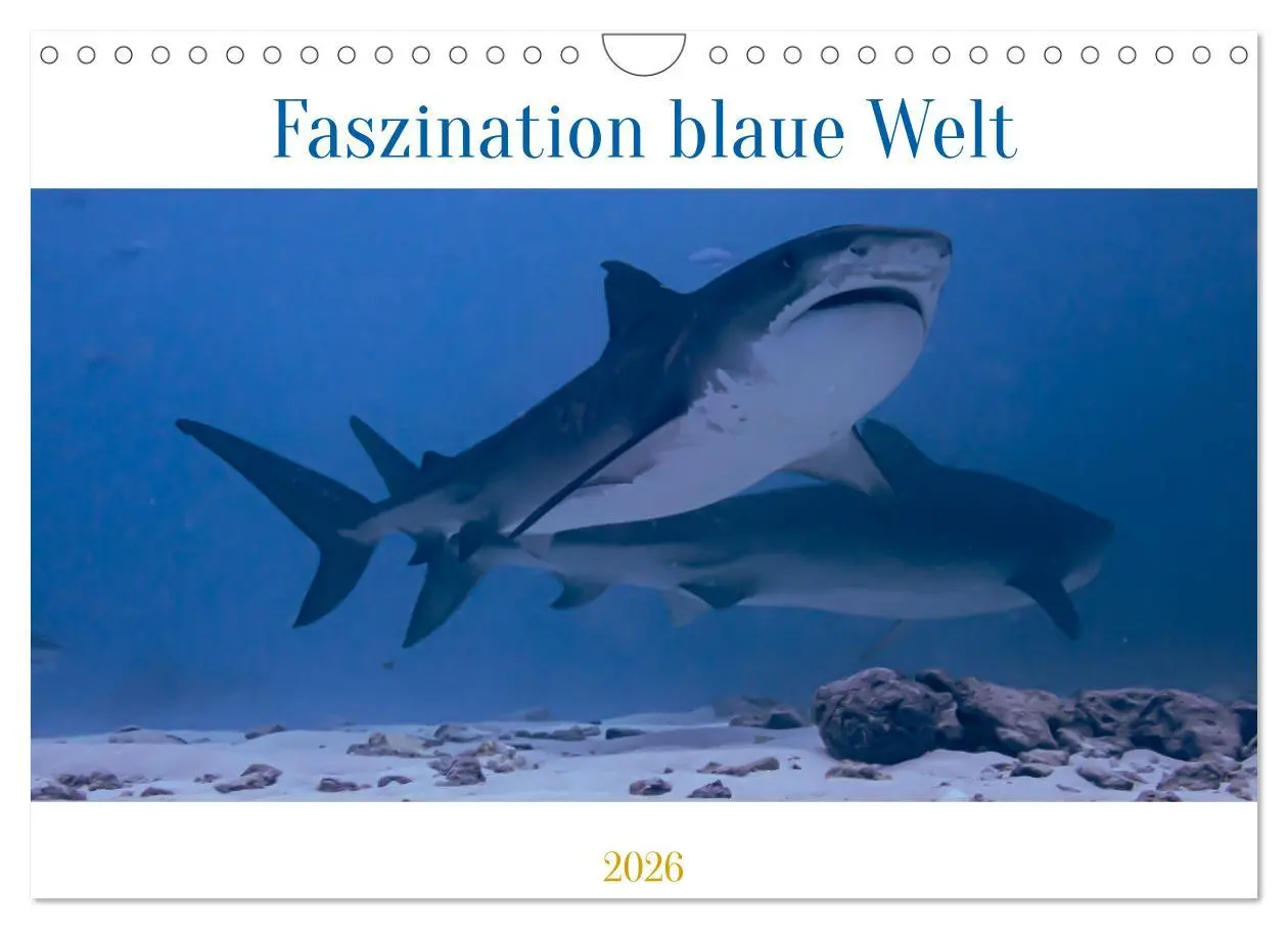 Cover: 9783457575406 | Faszination blaue Welt (Wandkalender 2026 DIN A4 quer), CALVENDO...