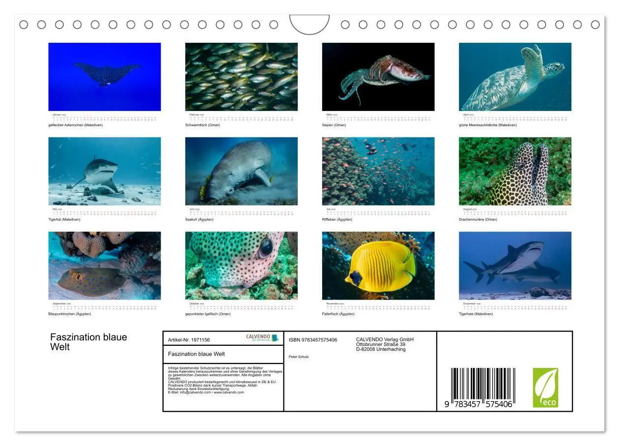 Bild: 9783457575406 | Faszination blaue Welt (Wandkalender 2026 DIN A4 quer), CALVENDO...