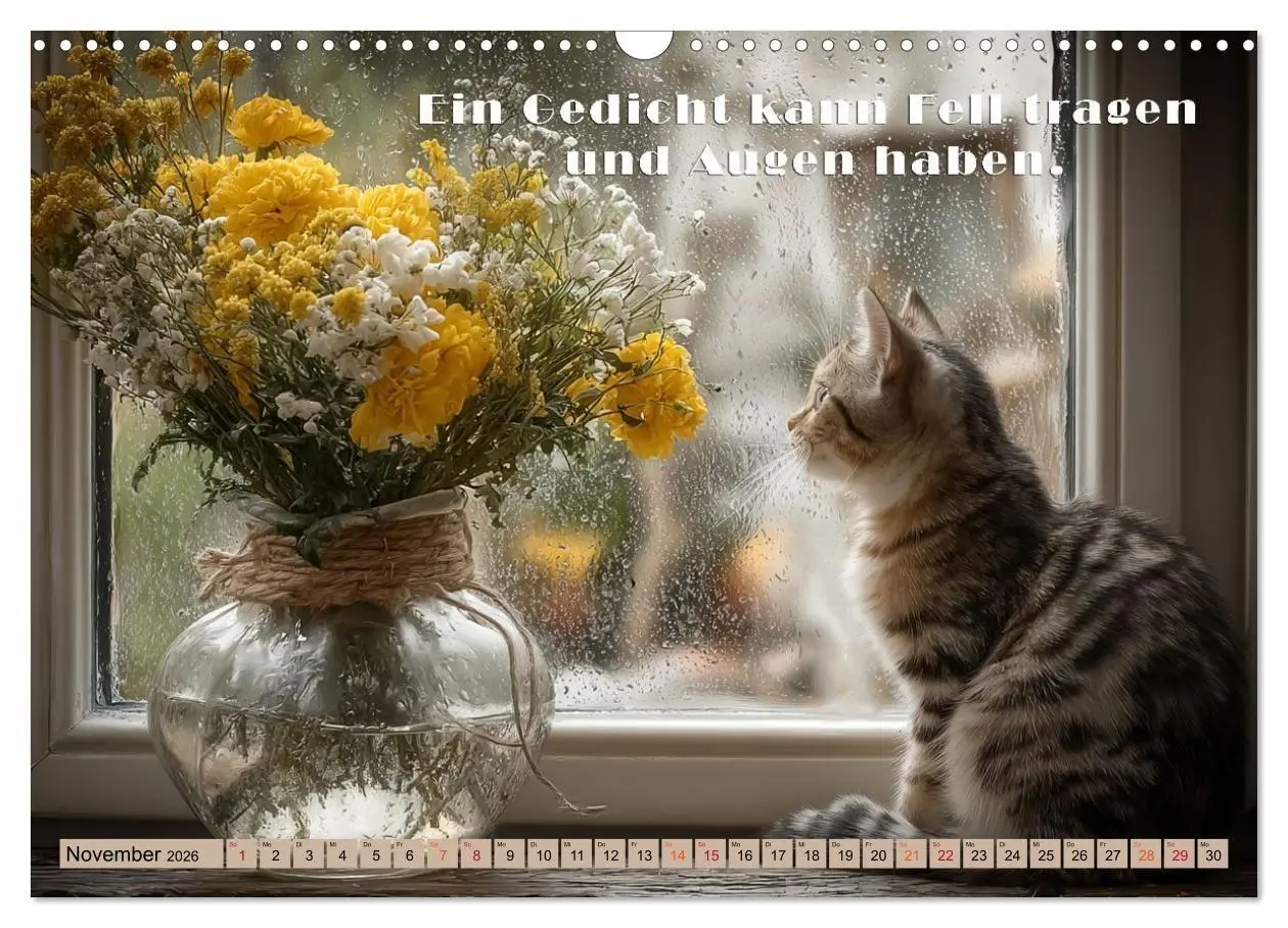 Bild: 9783516665406 | Miau-velous Pfotenpoesie (Wandkalender 2026 DIN A3 quer), CALVENDO...