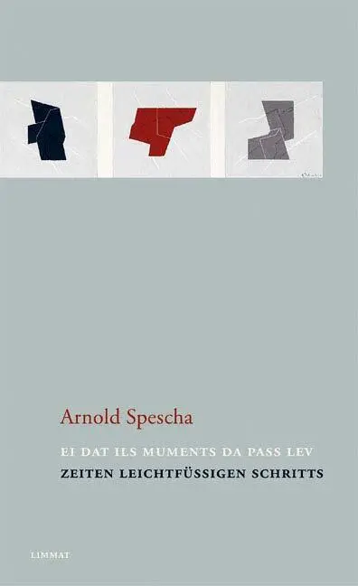 Cover: 9783857915406 | Zeiten leichtfüssigen Schritts. Ei dat ils muments da pass lev | Buch