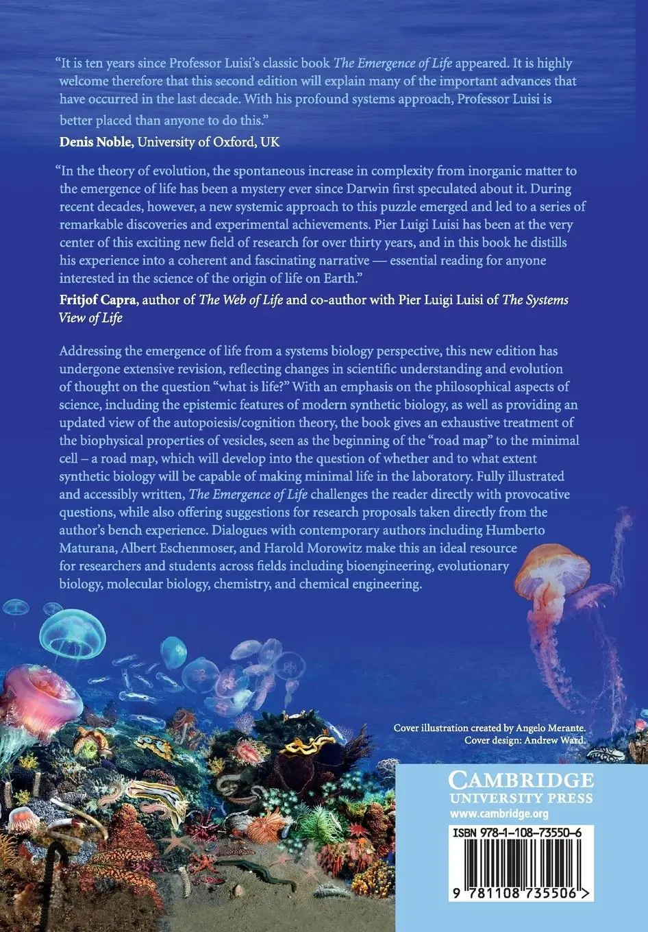 Rückseite: 9781108735506 | The Emergence of Life | Pier. Luigi Luisi | Taschenbuch | Paperback