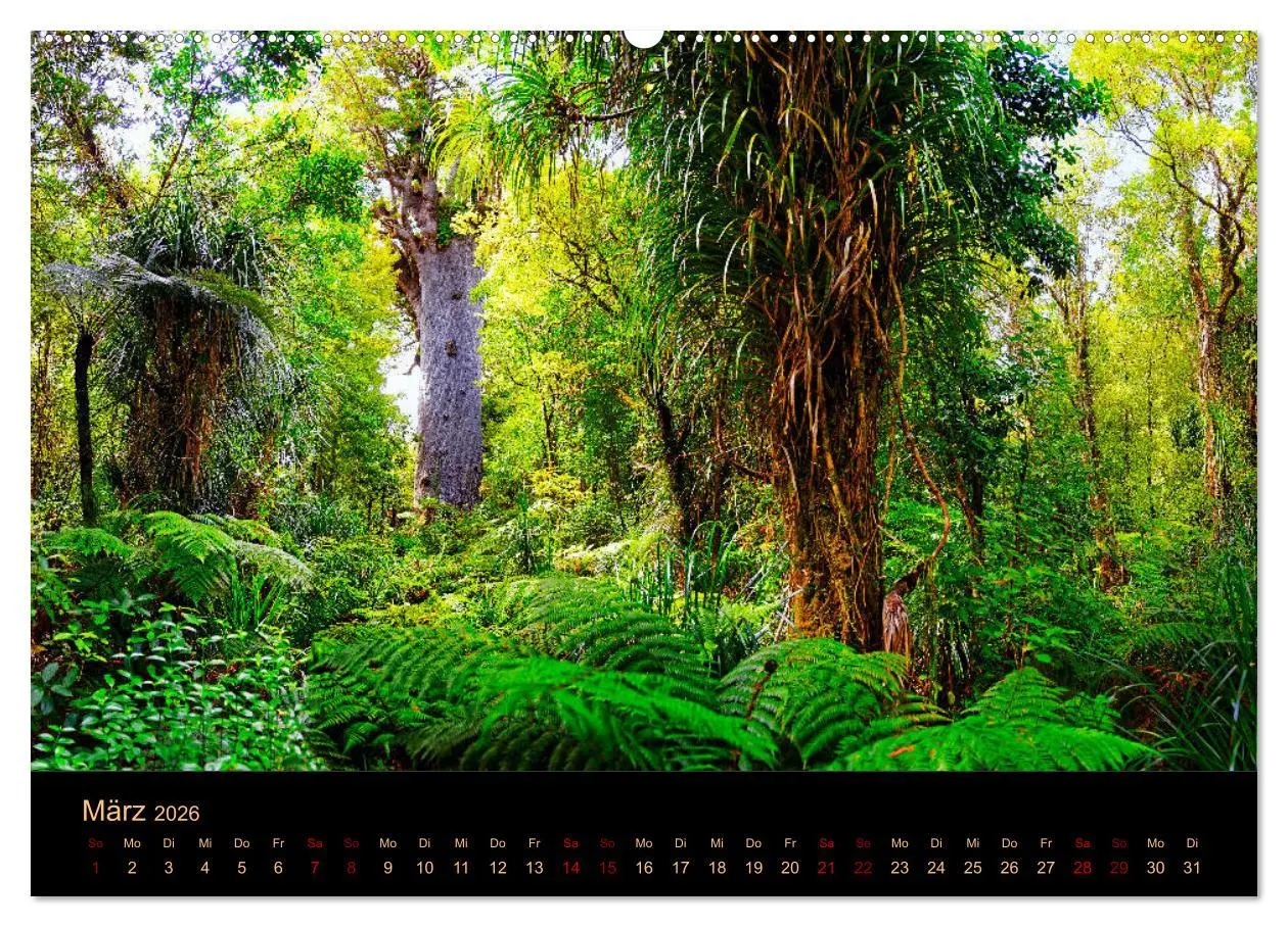 Bild: 9783457255506 | Südseetraum Neuseeland (Wandkalender 2026 DIN A2 quer), CALVENDO...