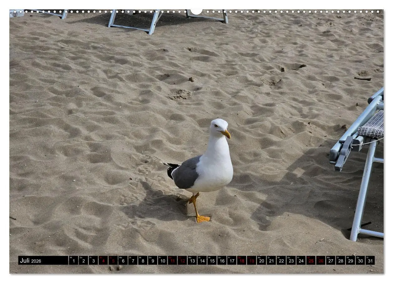 Bild: 9783457495506 | Grado im Frühsommer (Wandkalender 2026 DIN A2 quer), CALVENDO...