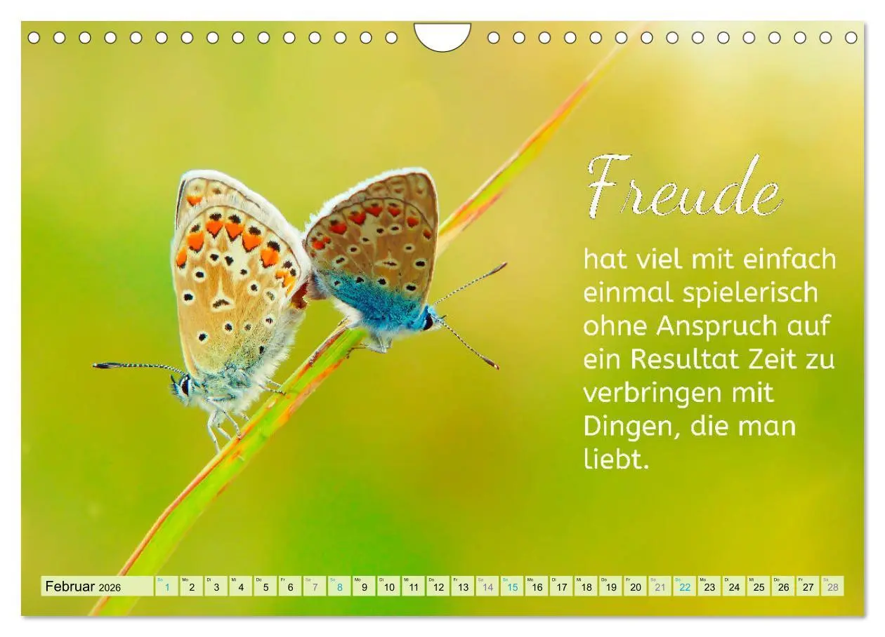 Bild: 9783457705506 | Der Spruchkalender - Inspirationen (Wandkalender 2026 DIN A4 quer),...