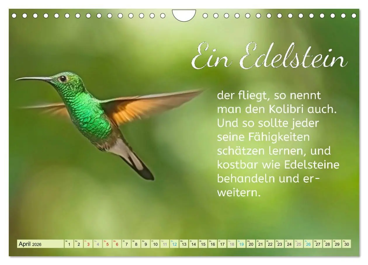 Bild: 9783457705506 | Der Spruchkalender - Inspirationen (Wandkalender 2026 DIN A4 quer),...