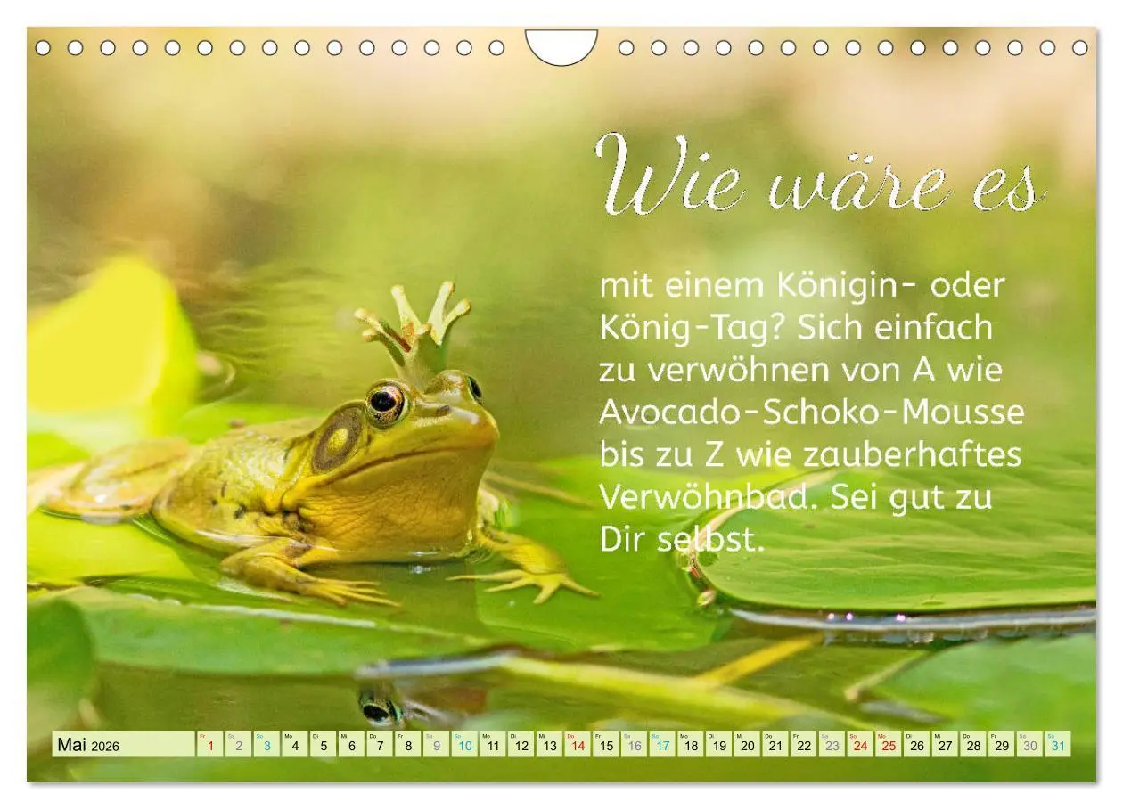 Bild: 9783457705506 | Der Spruchkalender - Inspirationen (Wandkalender 2026 DIN A4 quer),...