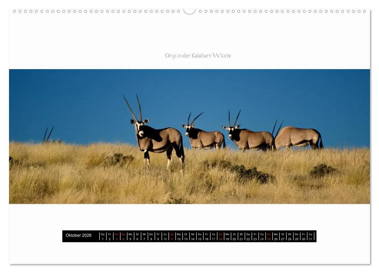 Bild: 9783516035506 | Namibia - Panoramen (hochwertiger Premium Wandkalender 2026 DIN A2...
