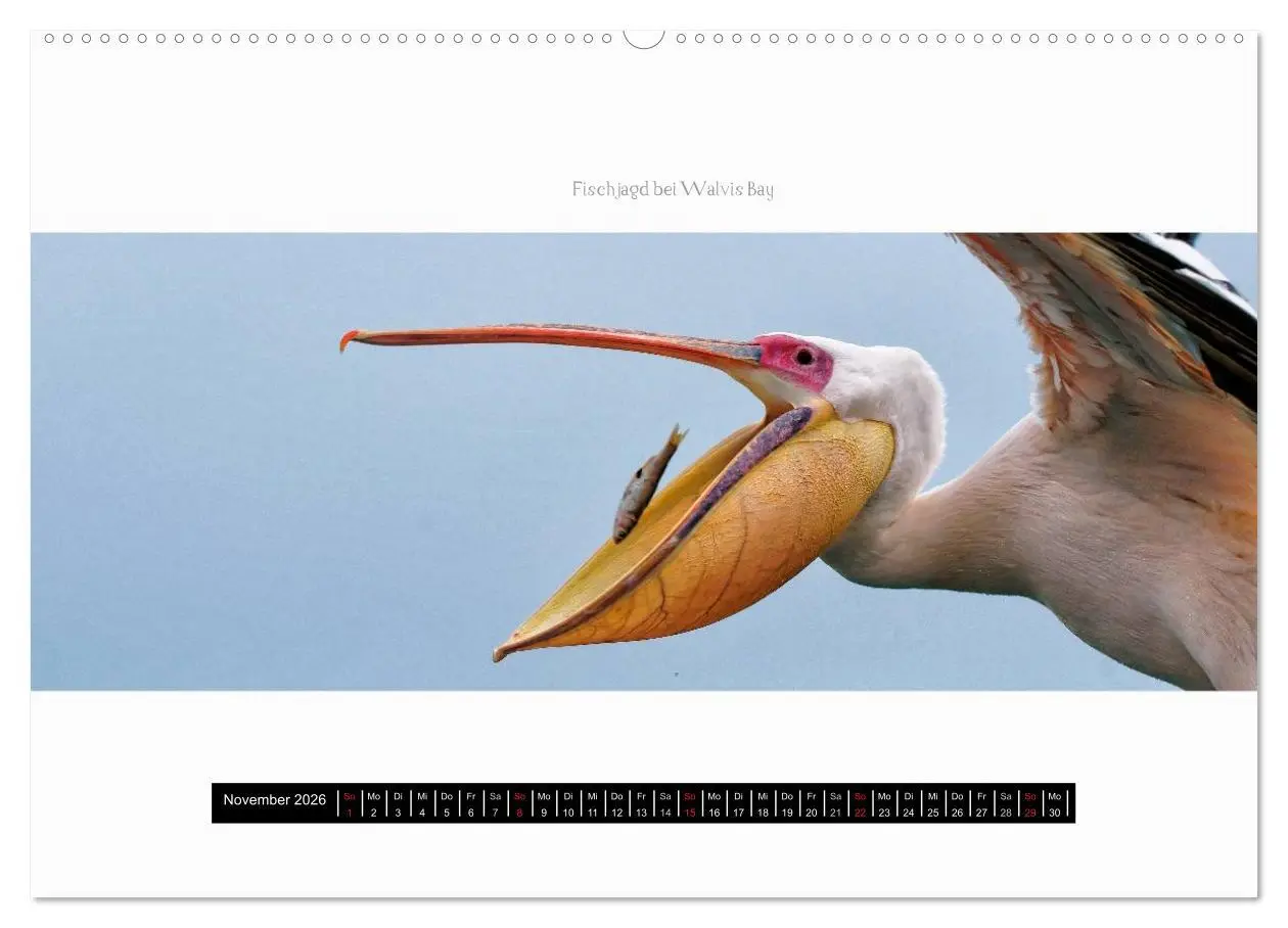 Bild: 9783516035506 | Namibia - Panoramen (hochwertiger Premium Wandkalender 2026 DIN A2...