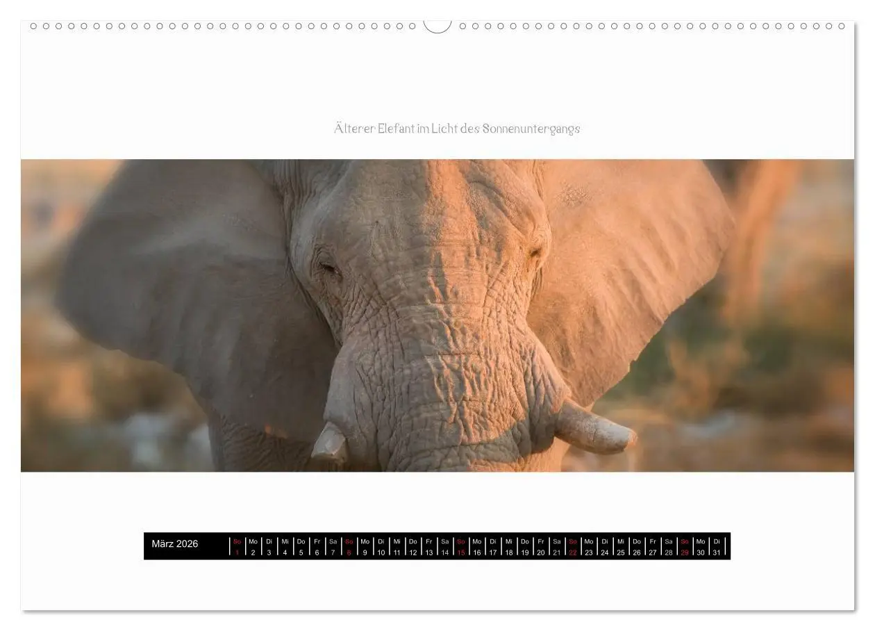 Bild: 9783516035506 | Namibia - Panoramen (hochwertiger Premium Wandkalender 2026 DIN A2...