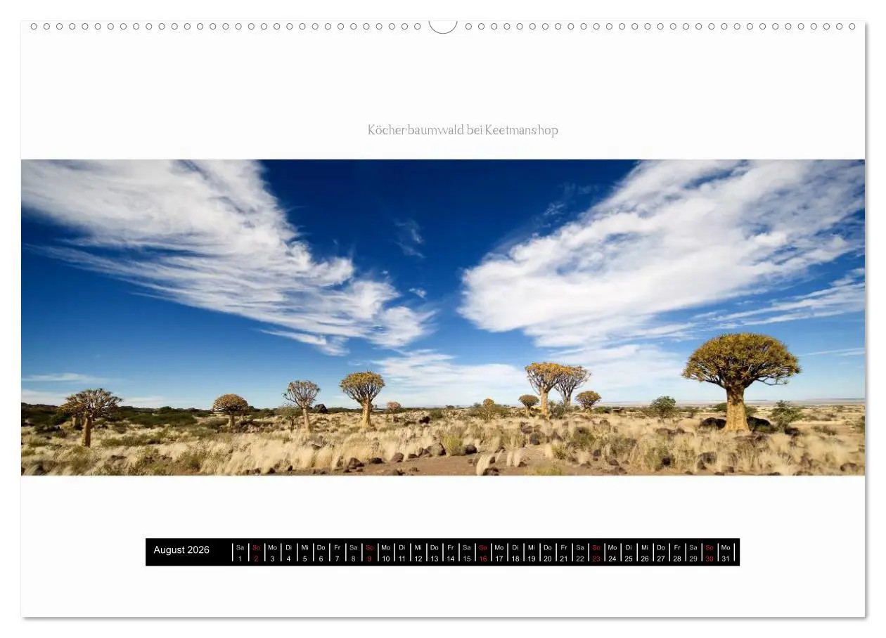 Bild: 9783516035506 | Namibia - Panoramen (hochwertiger Premium Wandkalender 2026 DIN A2...