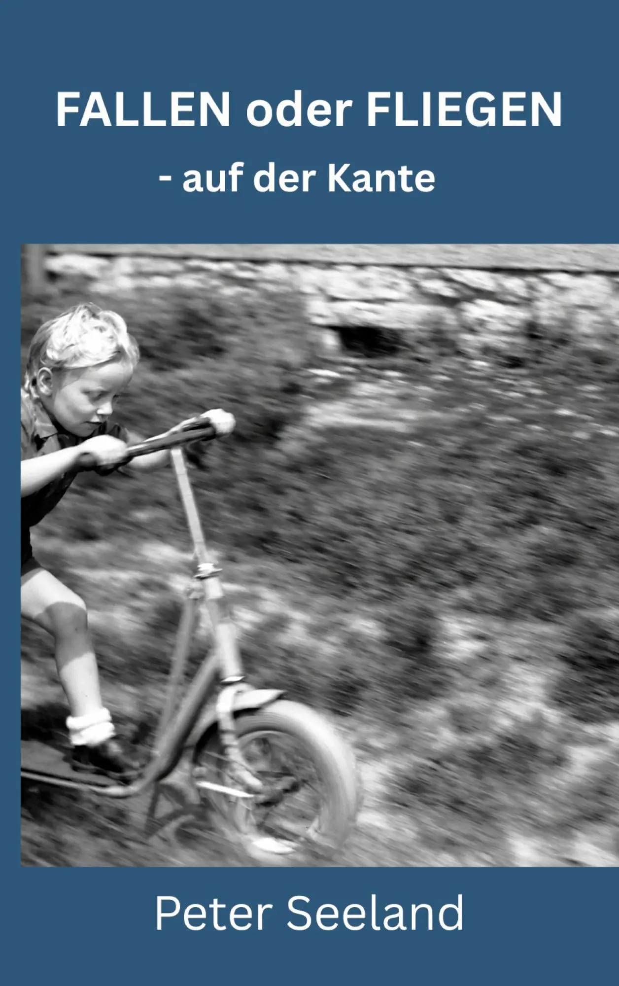 Cover: 9783696395506 | Fallen oder Fliegen | - auf der Kante | Peter Seeland | Taschenbuch