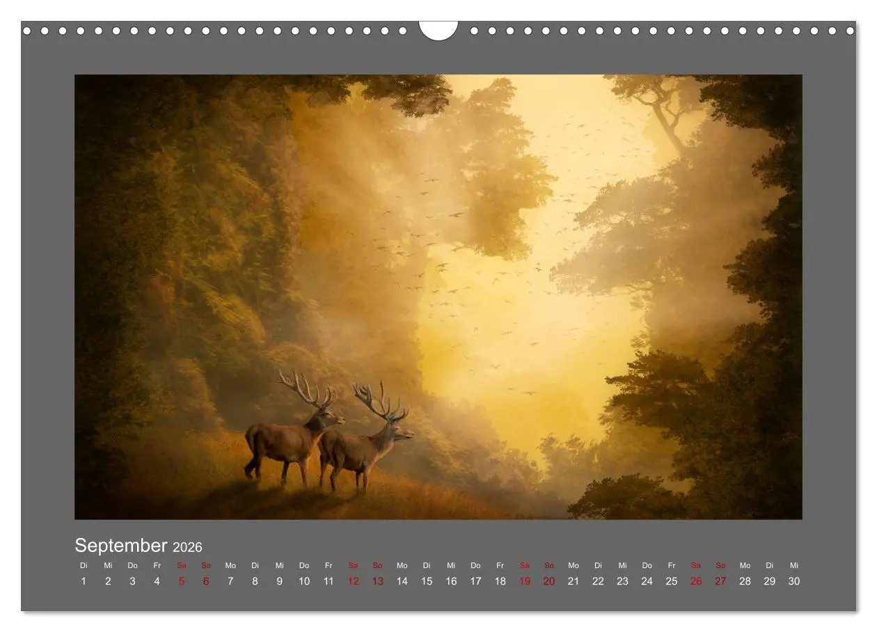 Bild: 9783457545706 | Geheimnisse des alten Waldes (Wandkalender 2026 DIN A3 quer),...