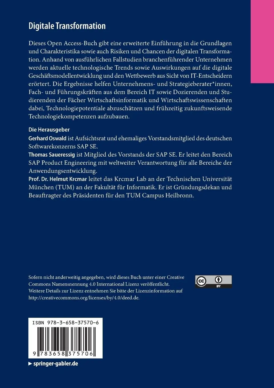 Rückseite: 9783658375706 | Digitale Transformation | Fallbeispiele und Branchenanalysen | Buch