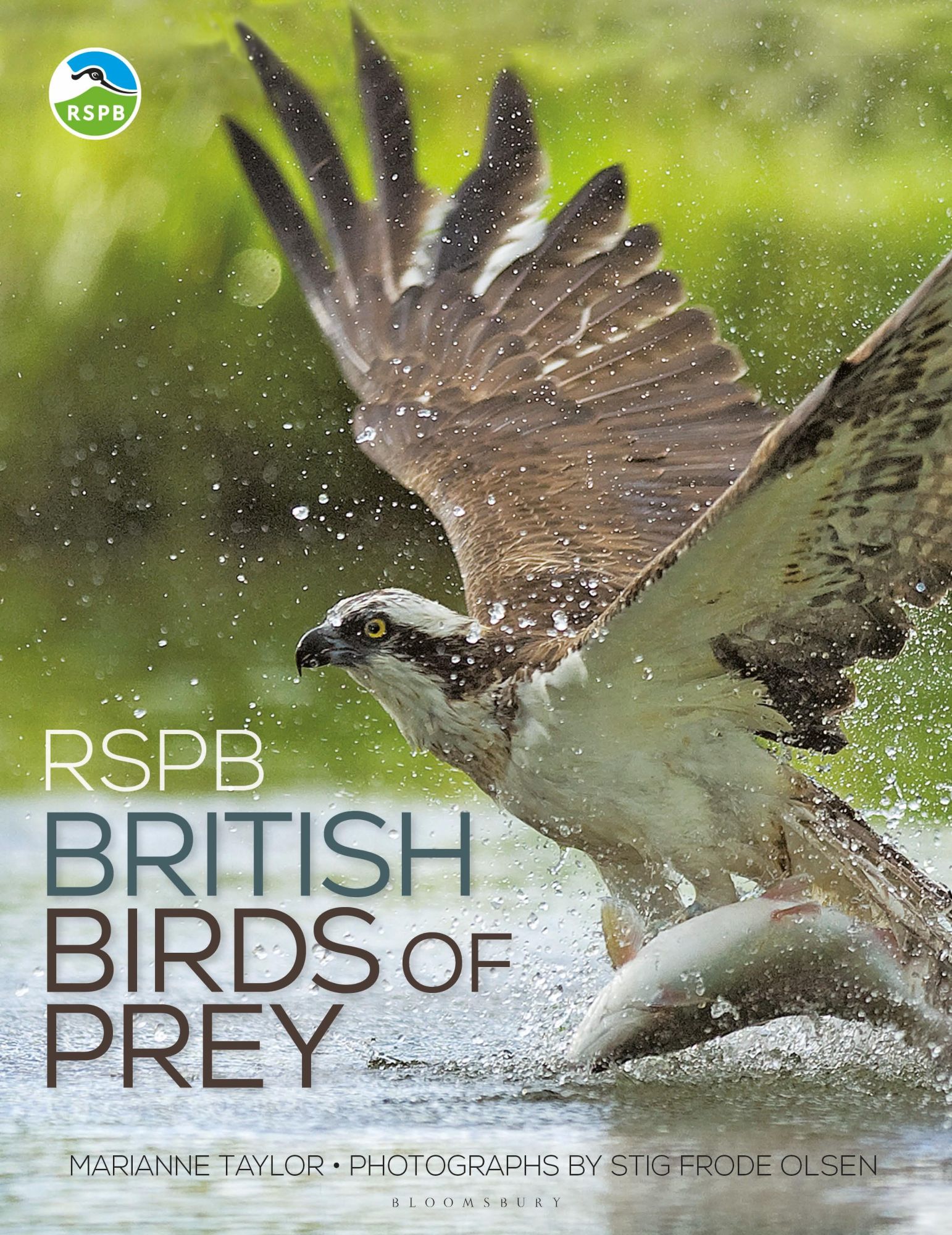 Cover: 9781472965806 | RSPB British Birds of Prey | Marianne Taylor | Buch | Englisch | 2018