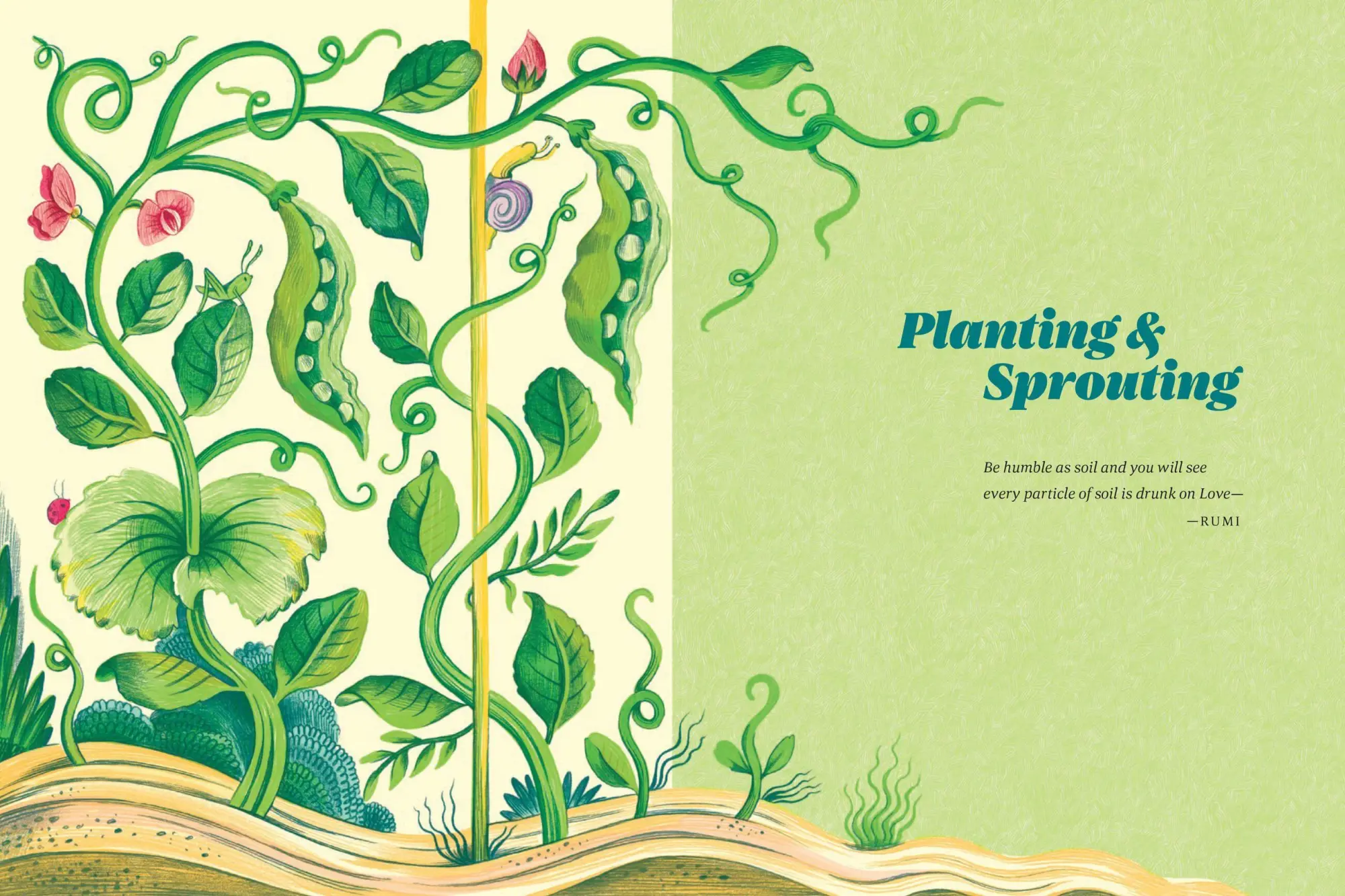 Bild: 9781635865806 | Leaning Toward Light | Poems for Gardens &amp; the Hands That Tend Them