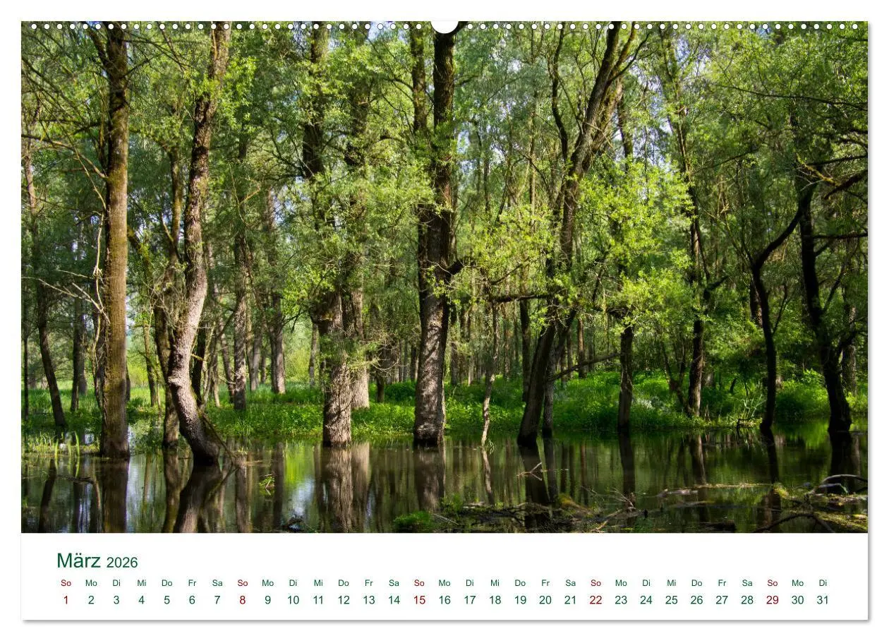 Bild: 9783457605806 | Österreichs Donau (Wandkalender 2026 DIN A2 quer), CALVENDO...