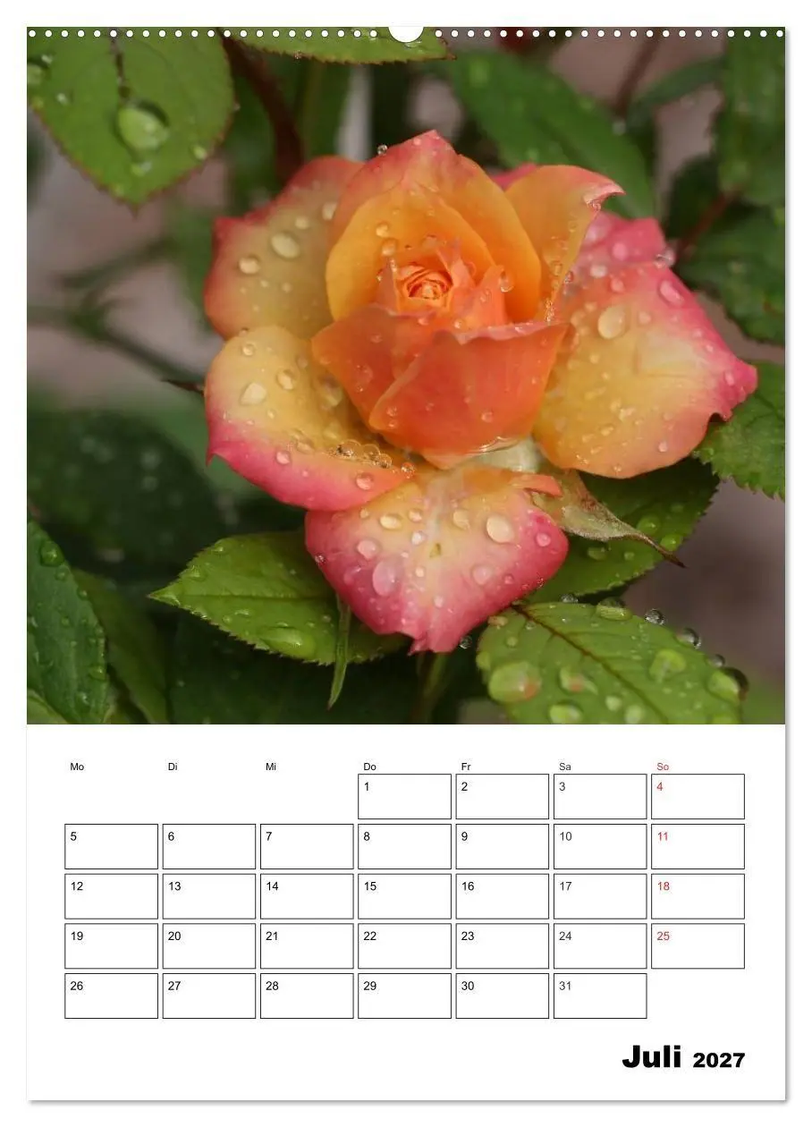Bild: 9783569955806 | Zauberhafte Rosen (hochwertiger Premium Wandkalender 2027 DIN A2...
