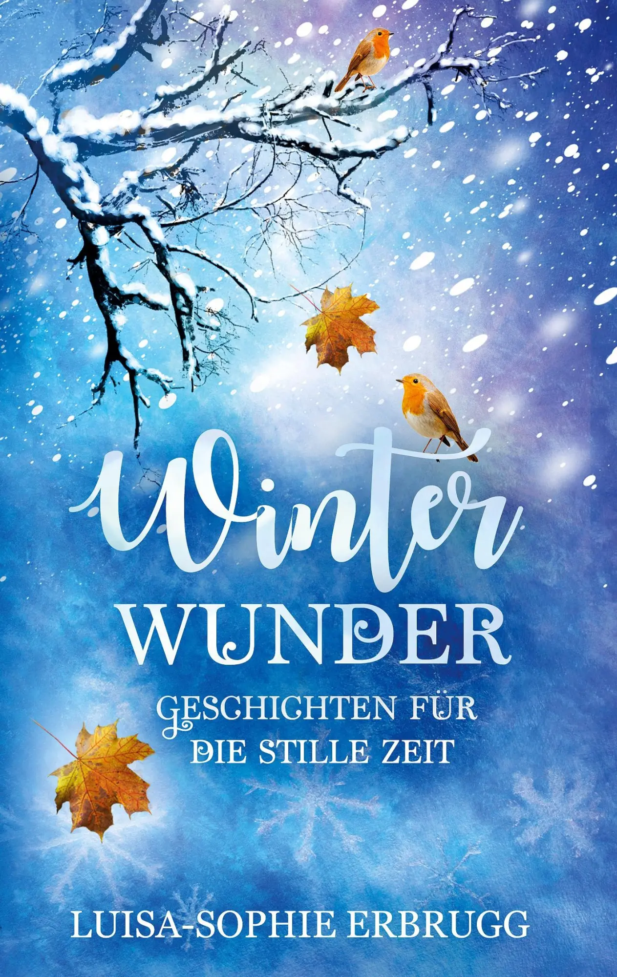 Cover: 9783695125906 | Winterwunder | Geschichten für die stille Zeit | Luisa-Sophie Erbrugg