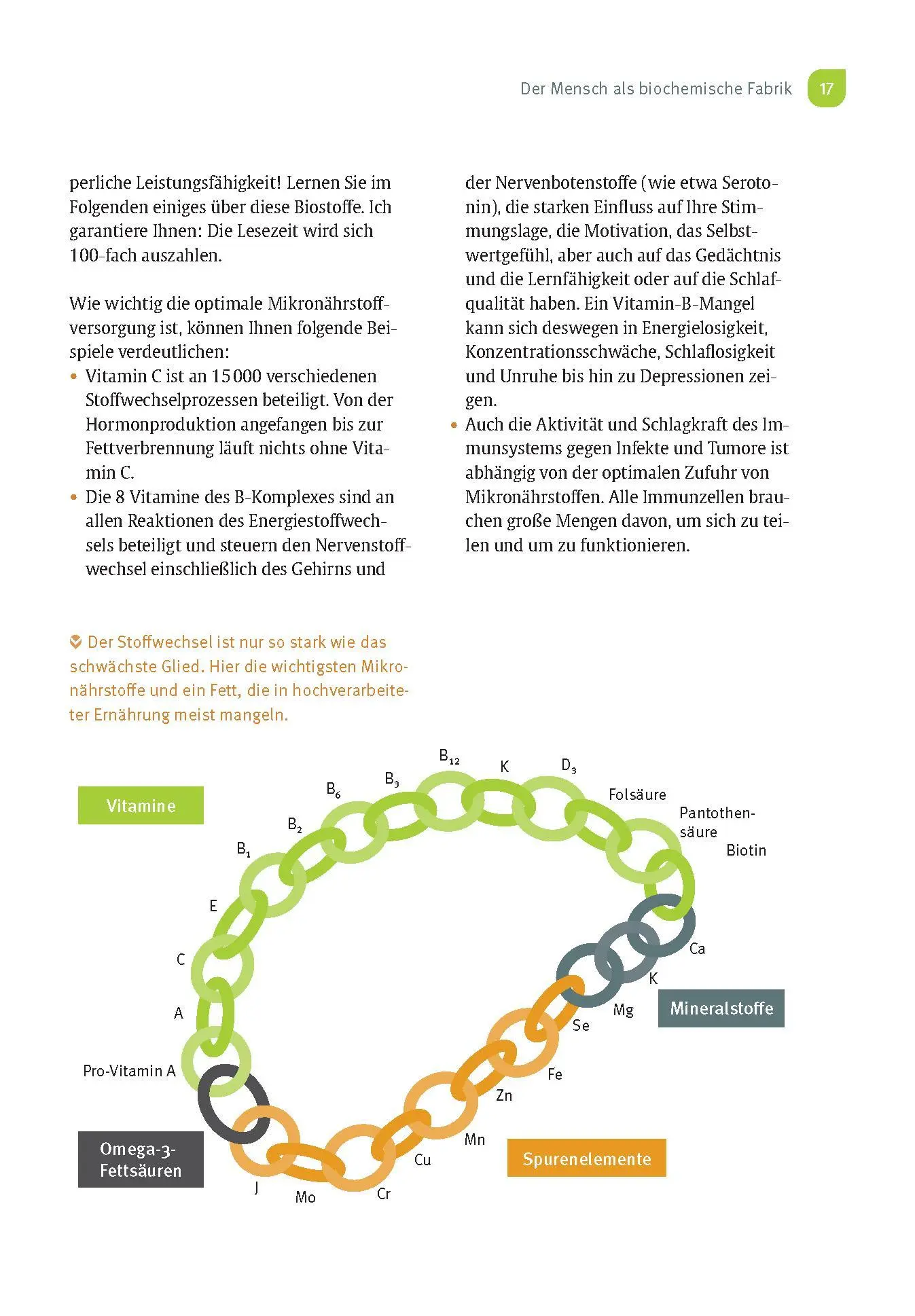 Bild: 9783432116006 | Risikofaktor Vitaminmangel | Andreas Jopp | Taschenbuch | 184 S.