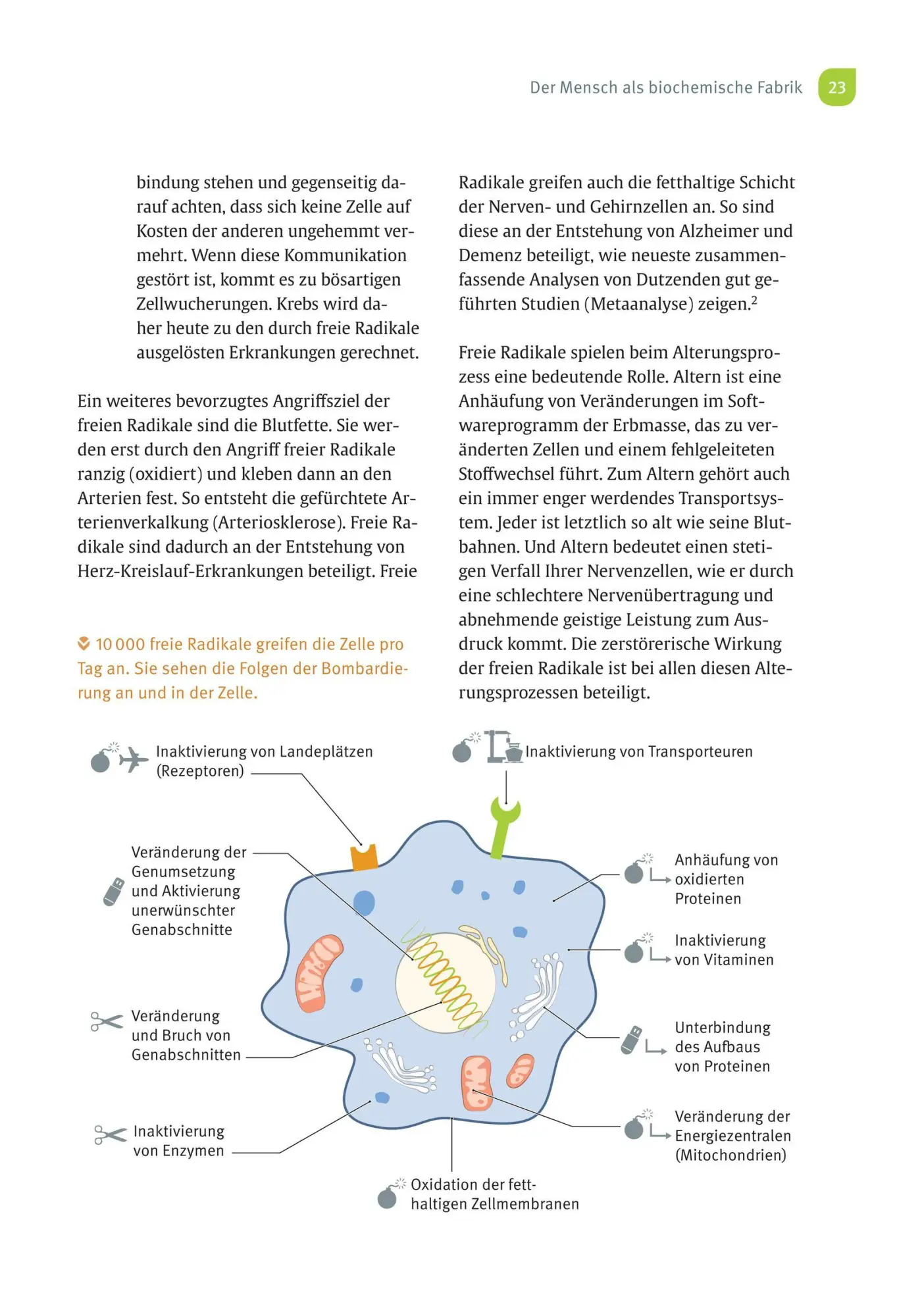 Bild: 9783432116006 | Risikofaktor Vitaminmangel | Andreas Jopp | Taschenbuch | 184 S.
