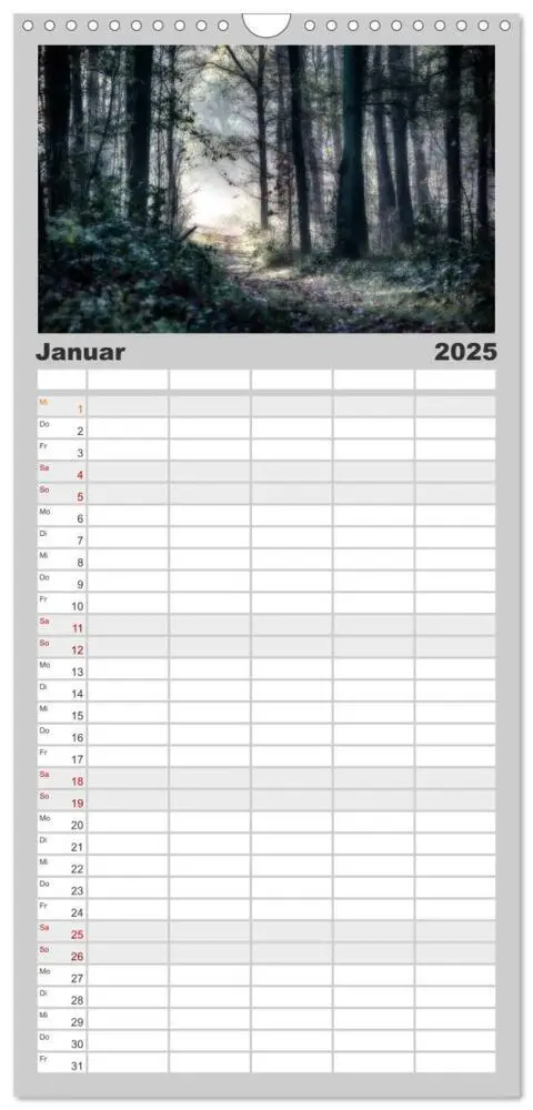 Bild: 9783457106006 | Familienplaner 2025 - Mystische Wälder mit 5 Spalten (Wandkalender,...