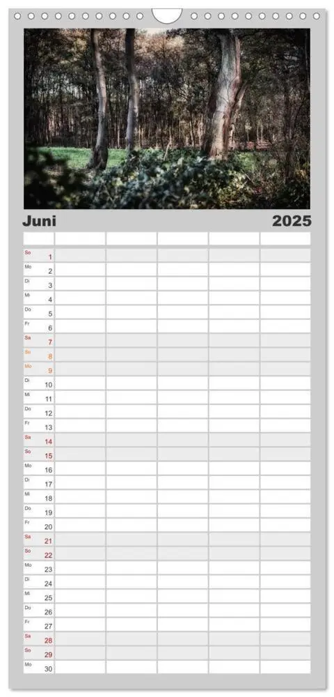 Bild: 9783457106006 | Familienplaner 2025 - Mystische Wälder mit 5 Spalten (Wandkalender,...