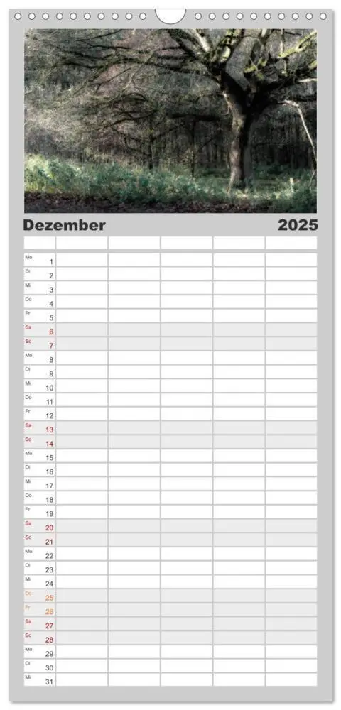 Bild: 9783457106006 | Familienplaner 2025 - Mystische Wälder mit 5 Spalten (Wandkalender,...