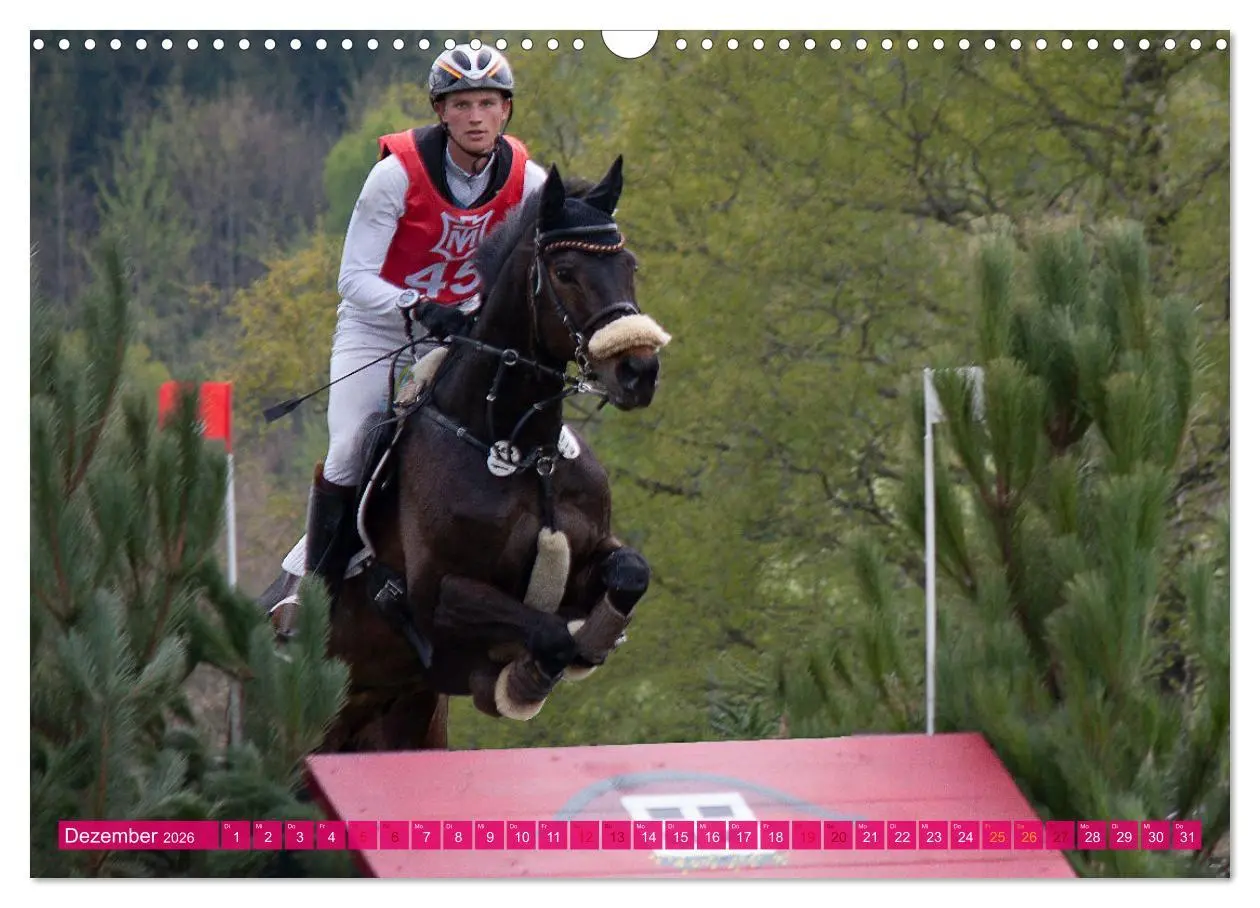 Bild: 9783457586006 | Buschreiter in Aktion (Wandkalender 2026 DIN A3 quer), CALVENDO...
