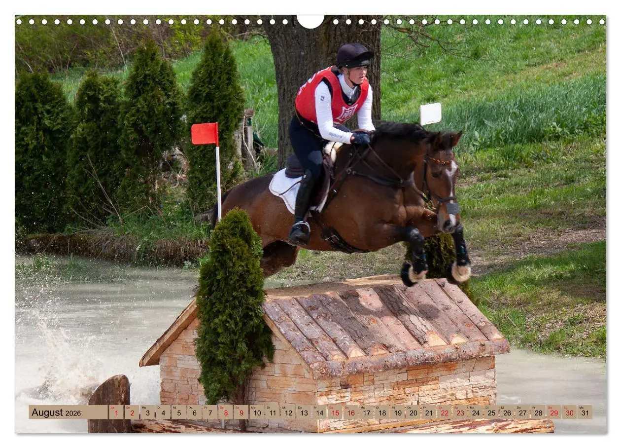 Bild: 9783457586006 | Buschreiter in Aktion (Wandkalender 2026 DIN A3 quer), CALVENDO...