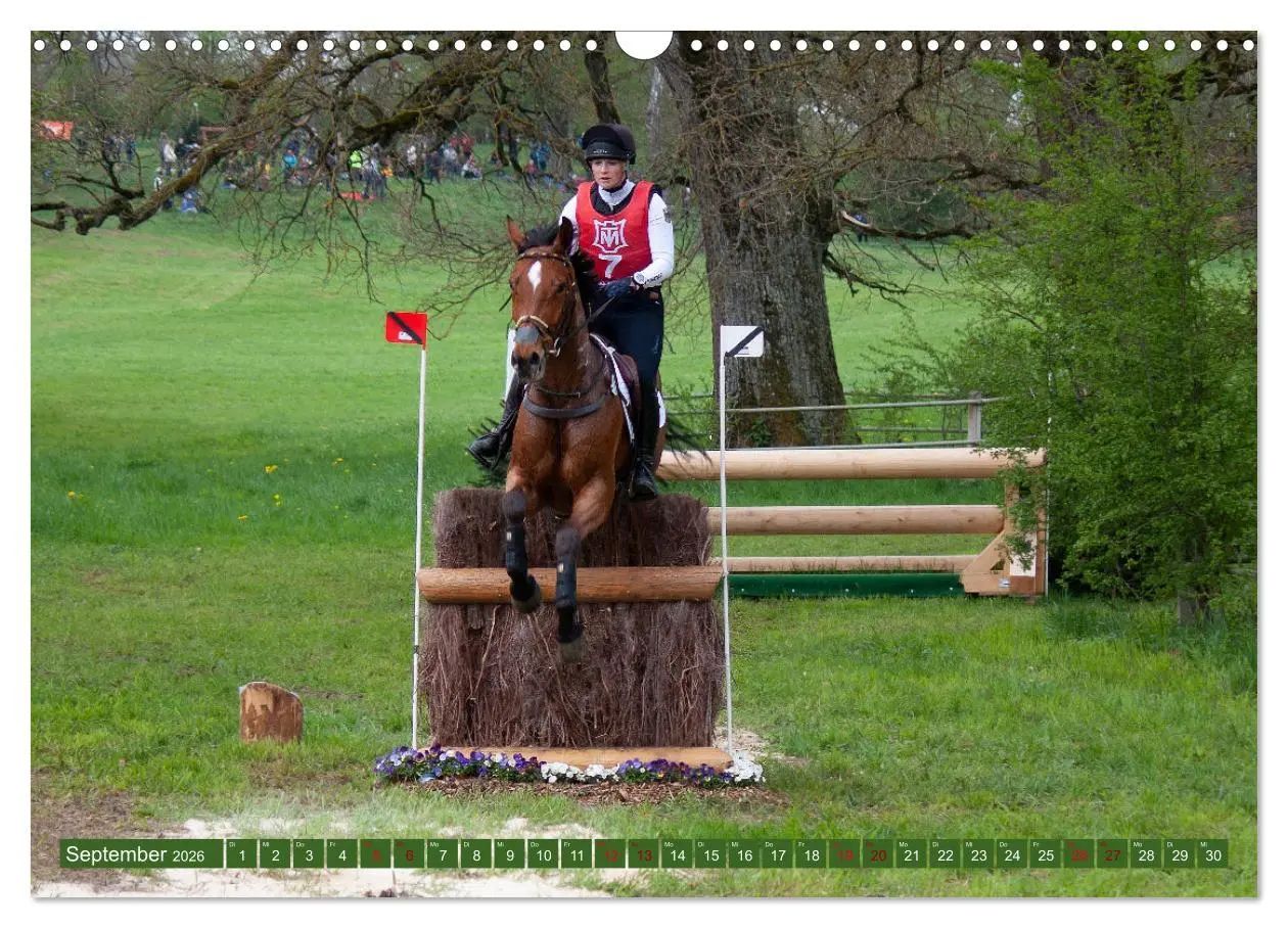 Bild: 9783457586006 | Buschreiter in Aktion (Wandkalender 2026 DIN A3 quer), CALVENDO...