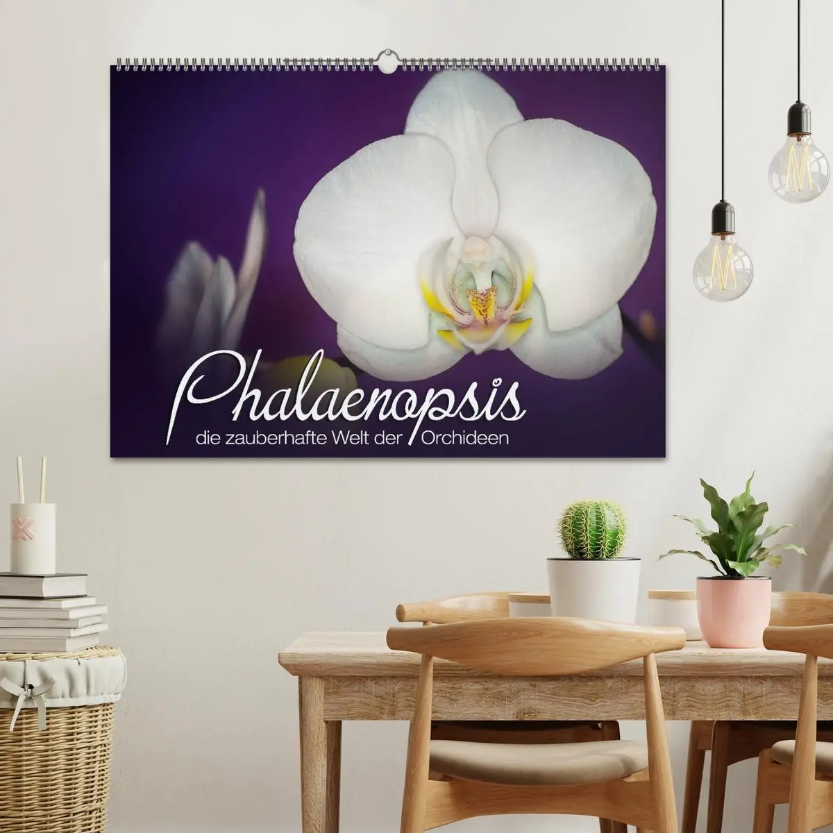 Bild: 9783516126006 | Phalaenopsis - die zauberhafte Welt der Orchideen (Wandkalender...