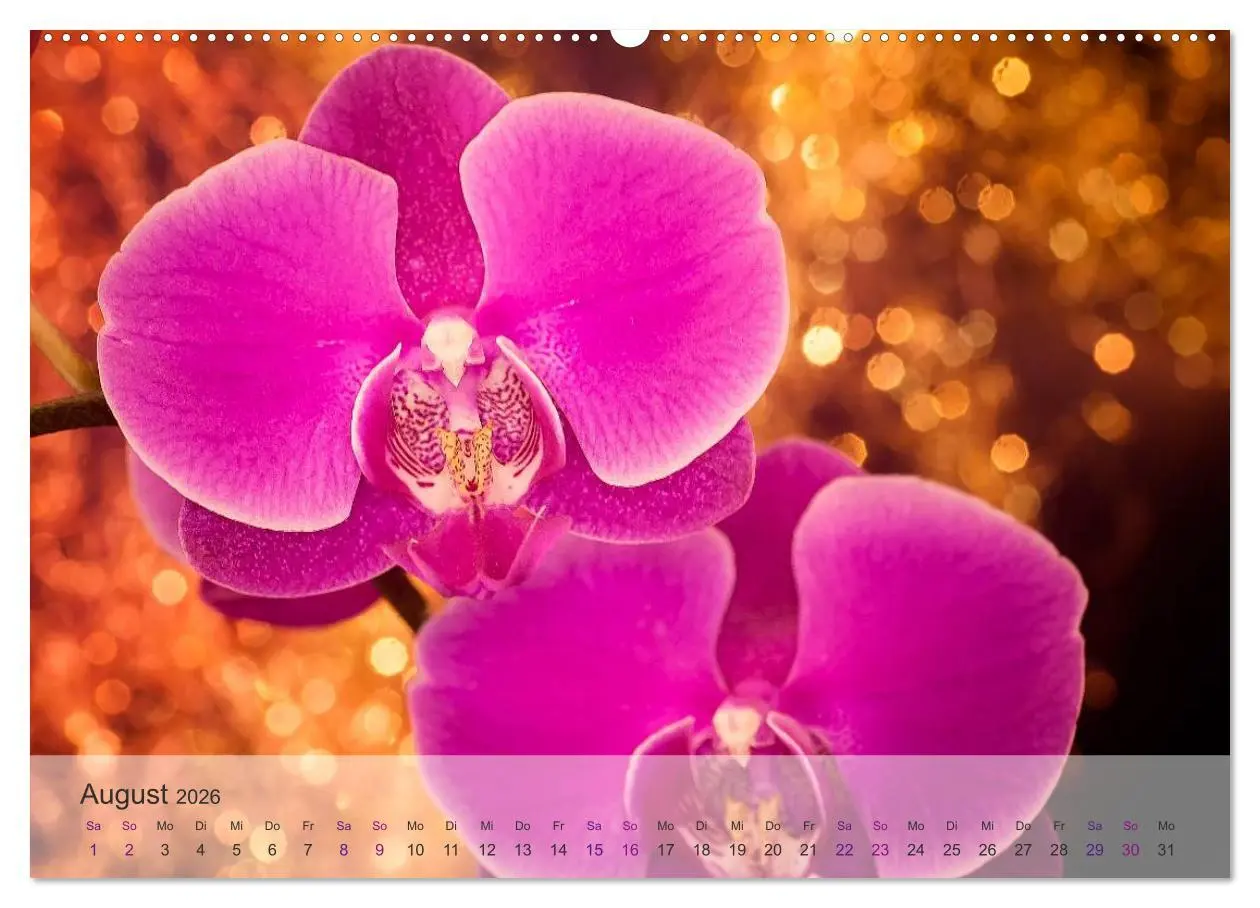 Bild: 9783516126006 | Phalaenopsis - die zauberhafte Welt der Orchideen (Wandkalender...