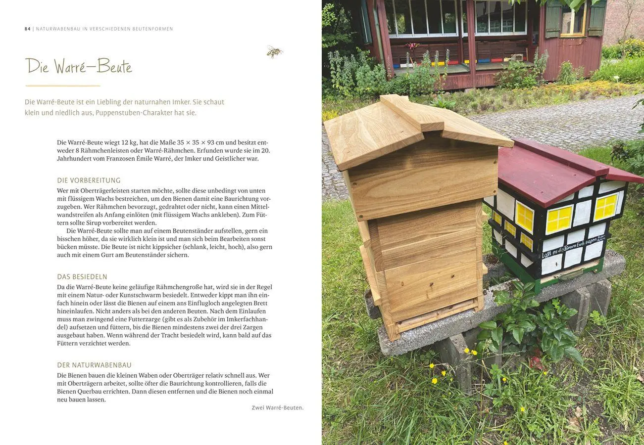 Bild: 9783818626006 | Imkern mit Naturwabenbau | Undine Westphal | Taschenbuch | 160 S.