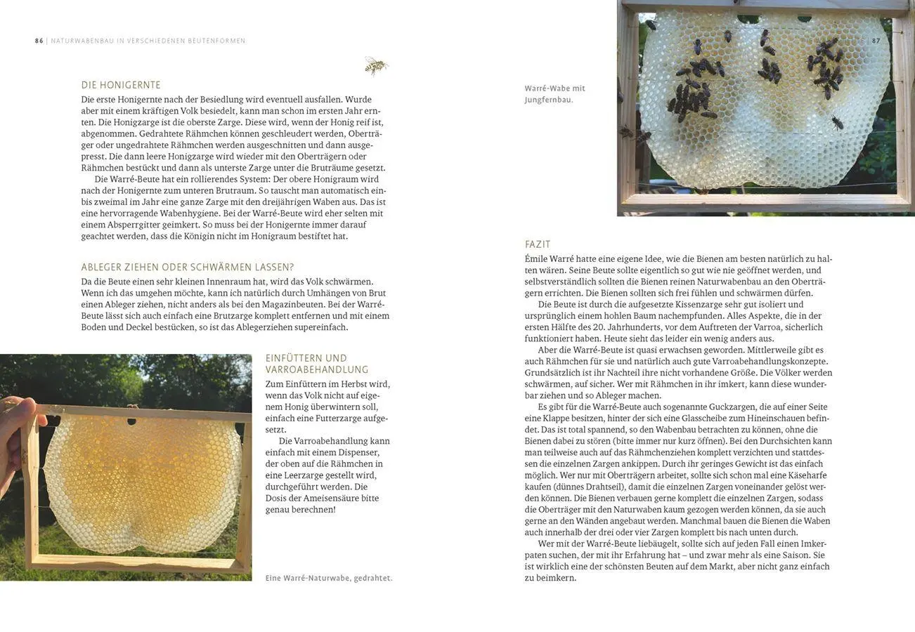 Bild: 9783818626006 | Imkern mit Naturwabenbau | Undine Westphal | Taschenbuch | 160 S.