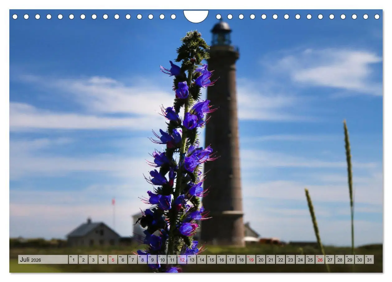 Bild: 9783457576106 | Skagen - Licht und Leben an Dänemarks Nordspitze (Wandkalender 2026...