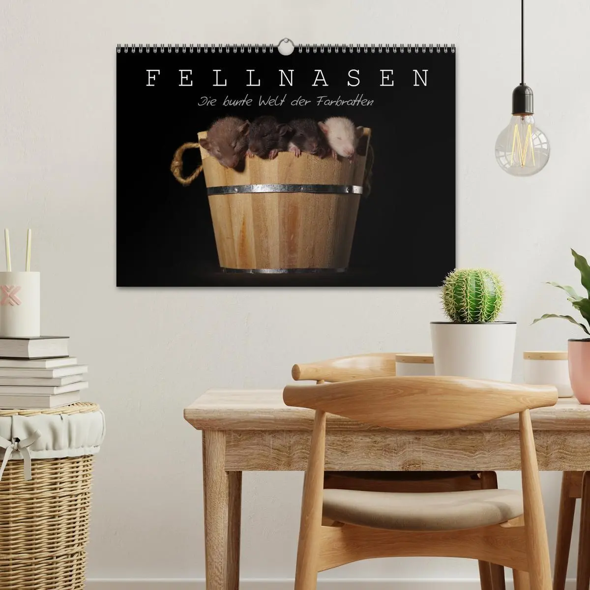 Bild: 9783516116106 | Fellnasen. Die bunte Welt der Farbratten. (Wandkalender 2026 DIN A3...