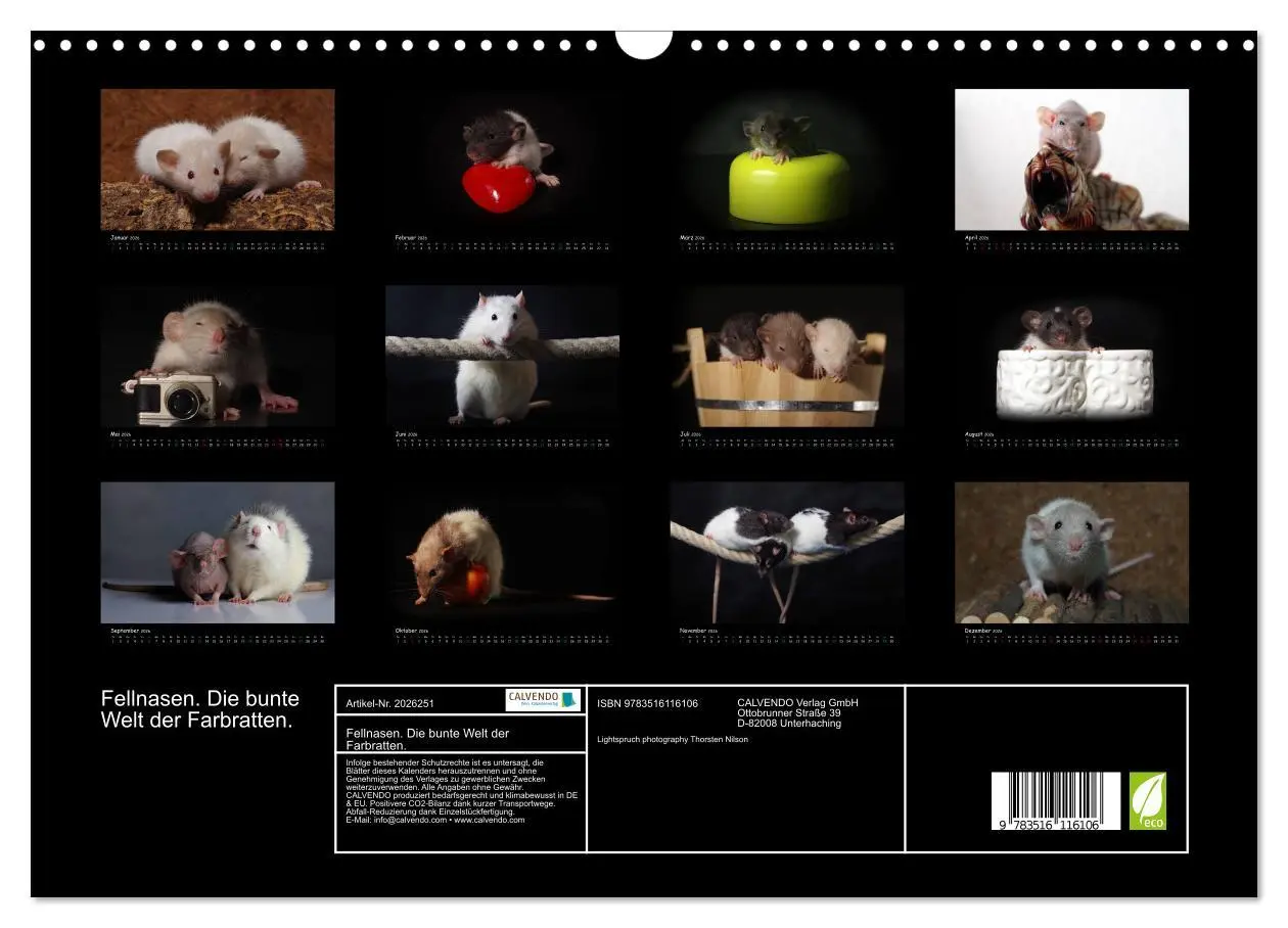 Bild: 9783516116106 | Fellnasen. Die bunte Welt der Farbratten. (Wandkalender 2026 DIN A3...